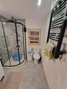 uma casa de banho com um chuveiro e um WC. em Domek rekreacyjny U Marcina em Kwidzyn