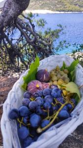 a basket full of grapes and other fruits in a tree at Apartments Franić in Saplunara