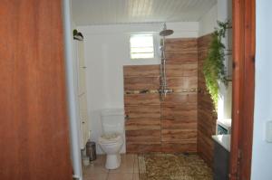 a bathroom with a toilet and a wooden wall at Villa le flamboyant in Le Marin