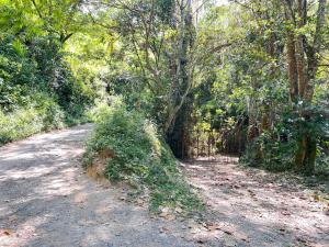 eine unbefestigte Straße mitten im Wald in der Unterkunft Refugio en el bosque in Barbosa
