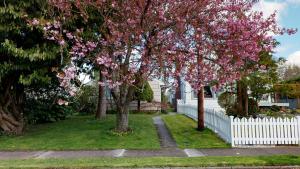 a flowering tree in a yard next to a white fence at Emily's Escape AC Smart TV and Covered Parking in Snohomish