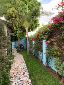 a walkway with a palm tree in a yard at Banana Republic in Old Yundum