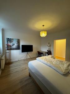 a bedroom with a bed and a flat screen tv at Paris bei Düsseldorf in Hilden