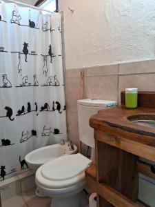 Vonios kambarys apgyvendinimo įstaigoje Cabañas APU