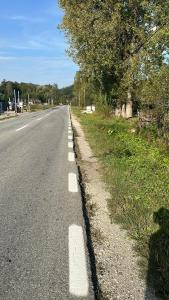 an empty road next to a field with trees at Poama villa in Negruleşti