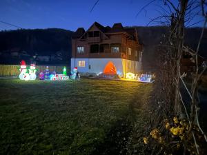a house with christmas lights in a yard at night at Poama villa in Negruleşti
