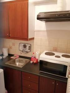 uma cozinha com um lavatório e um fogão em Dimitris em Trikala