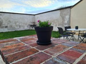 a potted plant sitting on top of a brick patio at Charmante Maison de 2 chambres in Laroche-Saint-Cydroine +3 photos