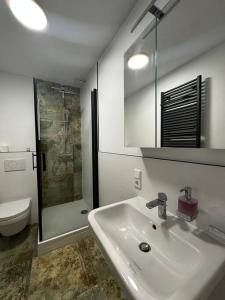 y baño con lavabo, ducha y aseo. en Paris: Messe-/Business-/FeWo DUS, en Hilden