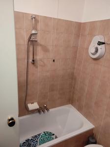 a bathroom with a bath tub with a shower at Presolana House in Castione della Presolana