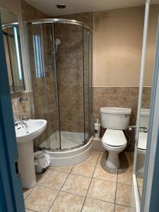 a bathroom with a shower and a toilet and a sink at Castle Hotel in Aberaeron