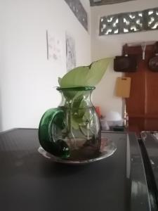 a green glass vase sitting on top of a table at El Güis hostel in Balgue