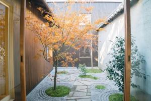 un petit arbre dans la cour d'une maison dans l'établissement Casa OGUMO - Vacation STAY 34543v, à Kyoto