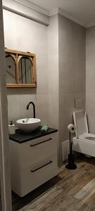 a bathroom with a sink and a toilet at U Bieńka in Biały Dunajec