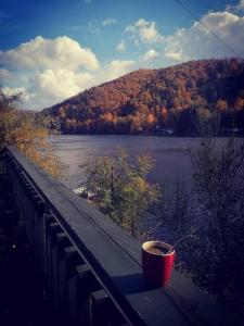 Photo de la galerie de l'établissement Fala - Domki do wynajecia, à Zagórze Śląskie