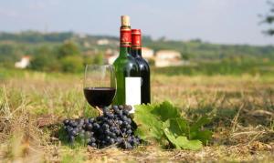 una copa de vino sentada junto a un montón de uvas en Appartement douillet avec terrasse en Talence