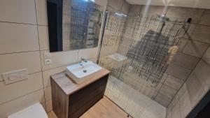 uma casa de banho com um lavatório e um chuveiro com um espelho. em jolie petite maison 134 lugan em Lugan