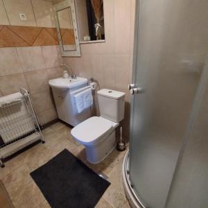 Koupelna v ubytování Holiday home Novak M