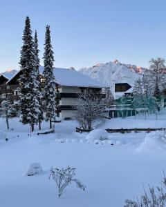 a building covered in snow with trees and mountains at Appartement Leo in Seefeld in Tirol