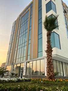 a palm tree in front of a building at جده هاوس Jeddah house in Jeddah