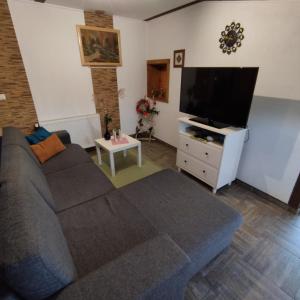 TV a/nebo společenská místnost v ubytování Holiday home Novak M