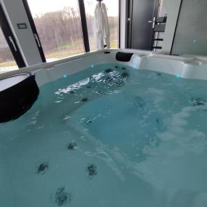 a bath tub filled with blue water next to a window at Holiday home Novak M in Sveti Martin na Muri