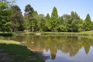 um lago num parque com árvores ao fundo em Helle Maisonnette Wohnung Penthouse em Recklinghausen