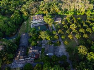 an overhead view of a garden with trees at Bann Mangkud Khaolak in Khao Lak