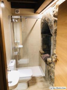 uma casa de banho com um chuveiro, um WC e um lavatório. em Cal Nen Mestre em Montellà i MartinetMontellà i Martinet