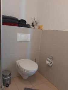 a bathroom with a toilet and a roll of toilet paper at Appartement mit Penthaus Charakter in Fürth