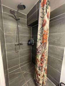 a shower with a shower curtain in a bathroom at Cosy studio on the Thames in London
