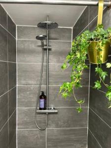 La salle de bains est pourvue d'une douche et d'une plante. dans l'établissement Cosy studio on the Thames, à Londres