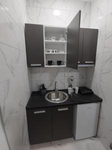 Köök või kööginurk majutusasutuses Apartman Centar Ivanjica