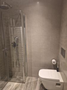 Afbeelding uit fotogalerij van Apartanna in Zamość