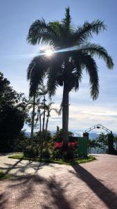 Una palmera en un parque con el sol detrás. en Casa de Serra Vila Viçosa en Viçosa do Ceará