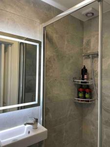 een badkamer met een douche, een wastafel en een spiegel bij One bedroom Putney Village flat in Londen