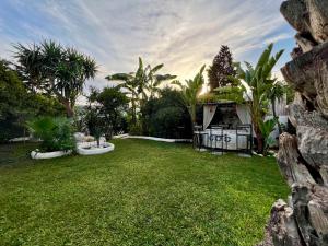a yard with grass and palm trees and a house at Dar chelbia in Hammamet