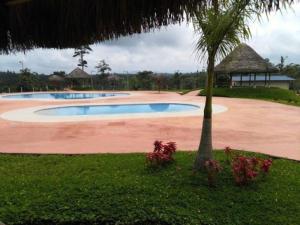a large swimming pool with a palm tree in a yard at Casa Campestre Mi Refugio in Pedro Vicente Maldonado