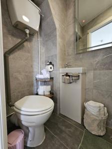 y baño con aseo blanco y espejo. en Stylish Putney village flat, en Londres