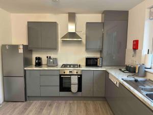 una cocina con electrodomésticos de acero inoxidable y armarios grises en The Ideal Spacious Home en Birmingham