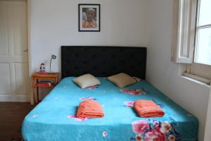 1 dormitorio con 1 cama azul y 2 almohadas en Cabañas Bhakti Dham, hospedaje vegetariano en San Esteban