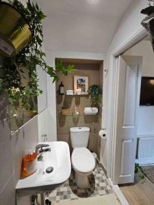een badkamer met een toilet en een wastafel bij West Kensington flat, balcony in Londen