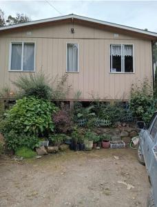 una casa con muchas plantas delante de ella en hermosa cabaña rustica, en Puerto Montt
