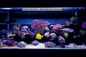 an aquarium filled with colorful fish and reefs at Hotel Spar Grand in Visakhapatnam