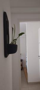 a tv hanging on a wall with a plant at La lunita 1 in Córdoba