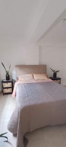 a bed in a bedroom with two potted plants at La lunita 1 in Córdoba