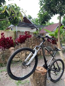 a bike parked on a tree stump in front of a house at Avocado homestay in Tetebatu