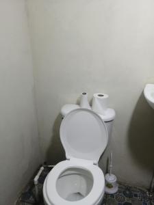 a bathroom with a toilet with two rolls of toilet paper at El Güis hostel in Balgue