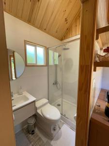 a bathroom with a toilet and a shower and a sink at Refugio Río Roberto in Villa Santa Lucía