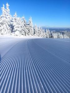 un campo di neve vuoto ricoperto di alberi in sottofondo di Dom z widokiem na góry stołowe i dużym ogrodem a Kłodzko